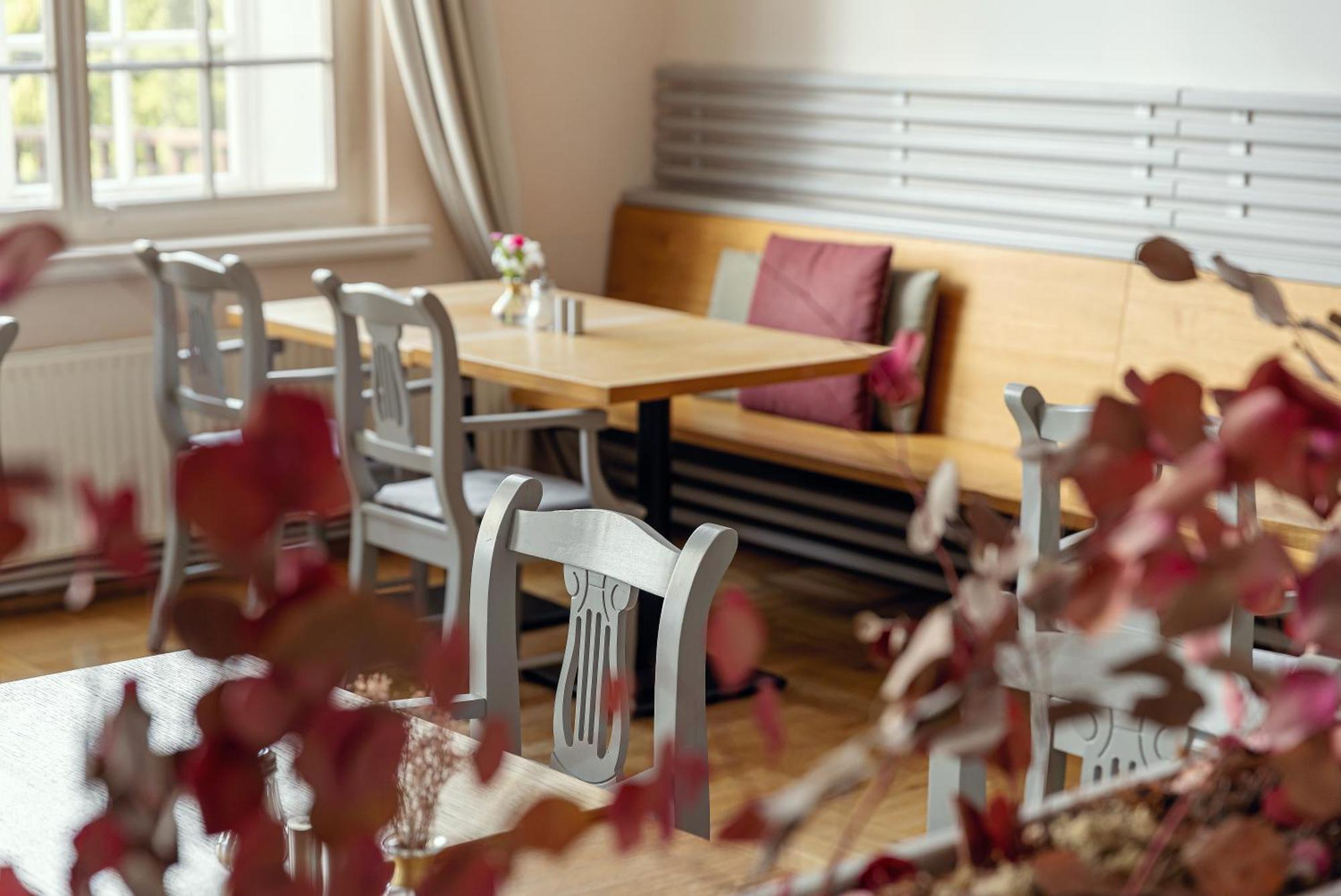 Hotel Zamecek Janovicky Broumov Extérieur photo